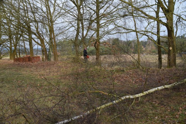 2017-02-25 Arbeitseinsatz Clubhaus - DSC 0248