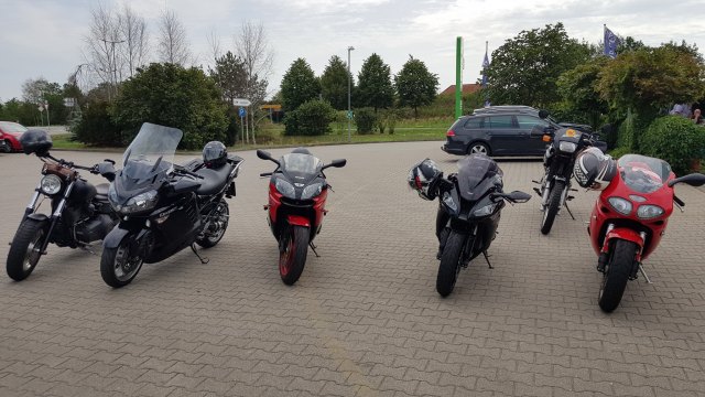 2019-08-09 MCE Spalier Hochzeit Diana - 20190809 140250