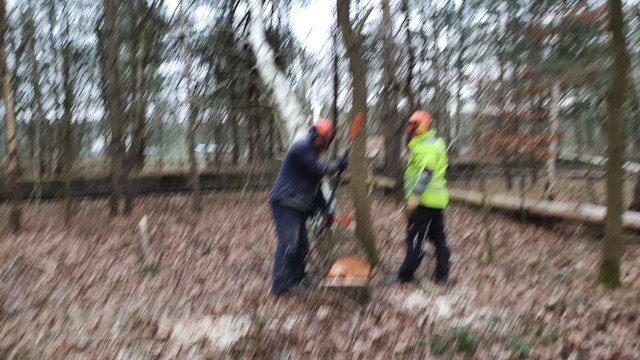 2021-12-27 MCE Brennholz - 20211227 151739